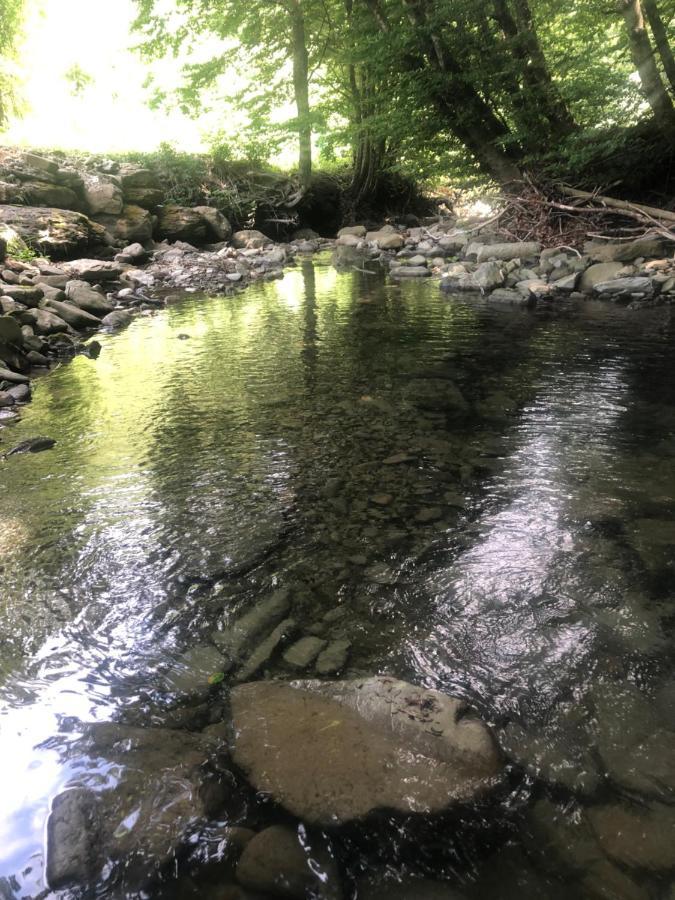 Casa Nel Bosco, Appennino Tosco Emiliano Διαμέρισμα Camugnano Εξωτερικό φωτογραφία